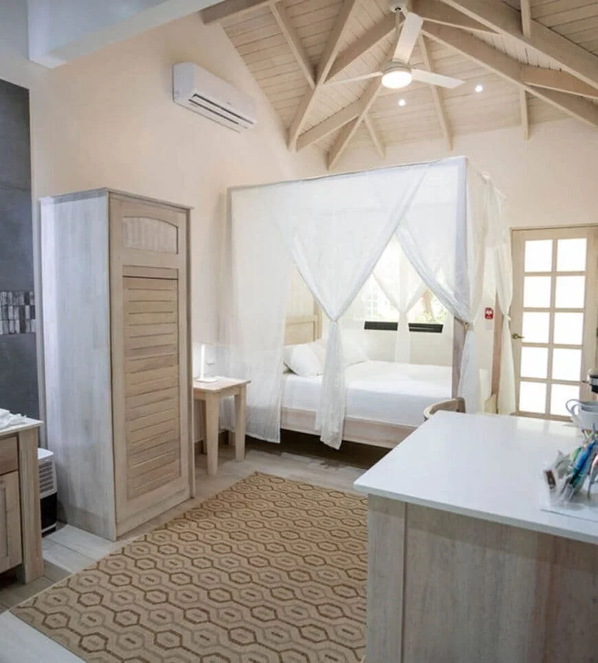 jungle-queen-room-bodhi-tree_1-870x965.jpg