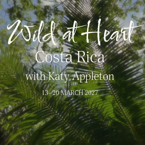 wild-at-heart-retreat.png (Copy)