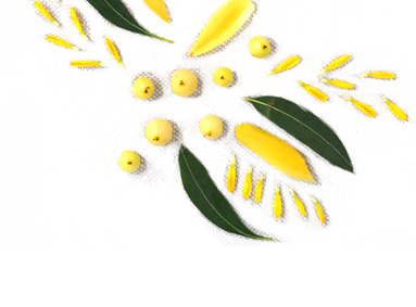 test7.png