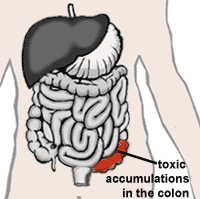 The Beautiful Health Value of Daily Elimination