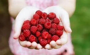 Use Holiday Leftovers for Improved Skin Texture and Appearance!