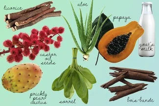  The Toxic Truth About Gluten-Free Food