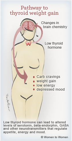 Stop Weight Gain from Thyroid Complications and Get Your Body Back