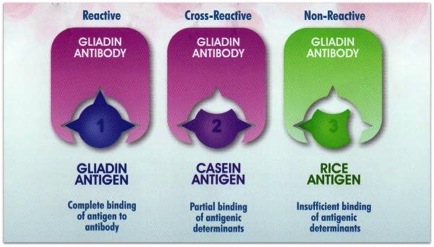 List of Common Foods that Cross-react Cross-react with Gluten!