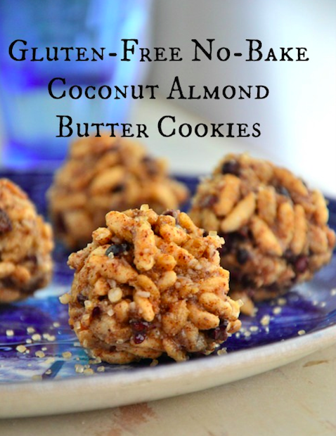 Easy * No-Bake*  Gluten-Free  Coconut Almond Butter Cookies