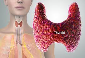 Confused about the many thyroid hormones? Which is right for you?