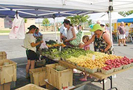 MN Local Farmers Market Guide