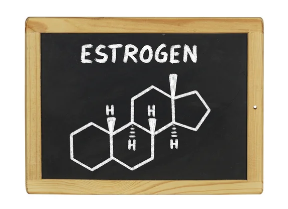 What’s the Hype About Estrogen Dominance?
