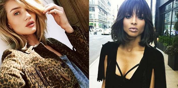 3 Top of the Crop Trending Hairstyles for Fall!
