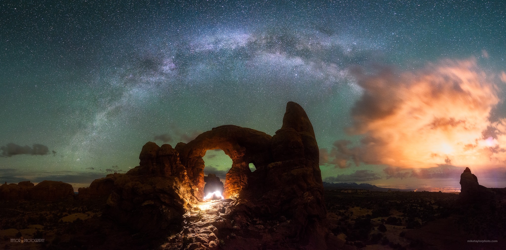 cosmos3.jpg