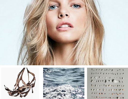 SEA ACTION - 10 Oceanic Ways to Age Defying Skin — Beauty Ecology