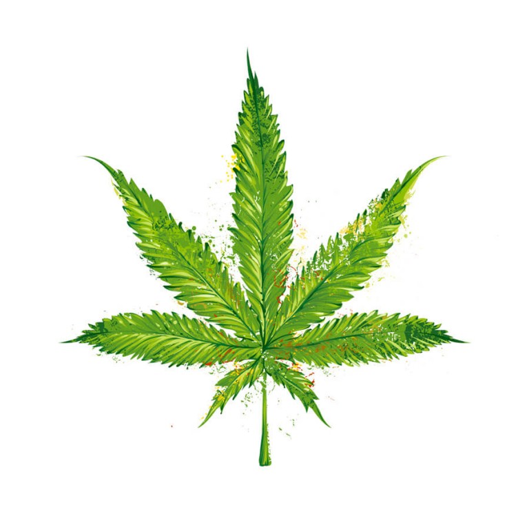 b065bc5b88aac31caa7d3faa12d72118_simple-weed-leaf-drawing-at-getdrawingscom-free-for-personal-simple-pot-leaf-drawing_768-768.jpeg
