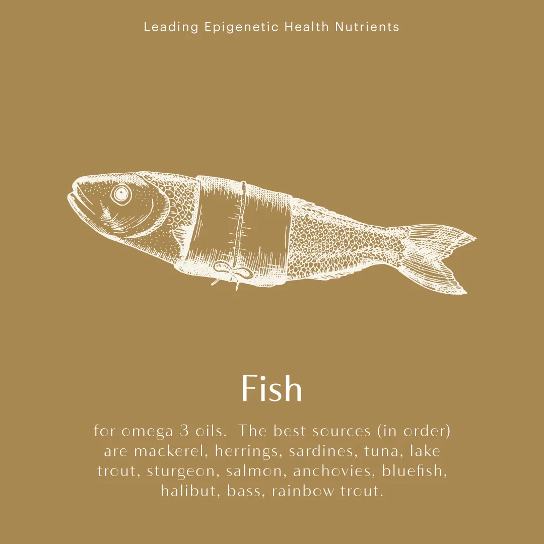 392812_IGStories_Set1_FishIG_032019.jpg
