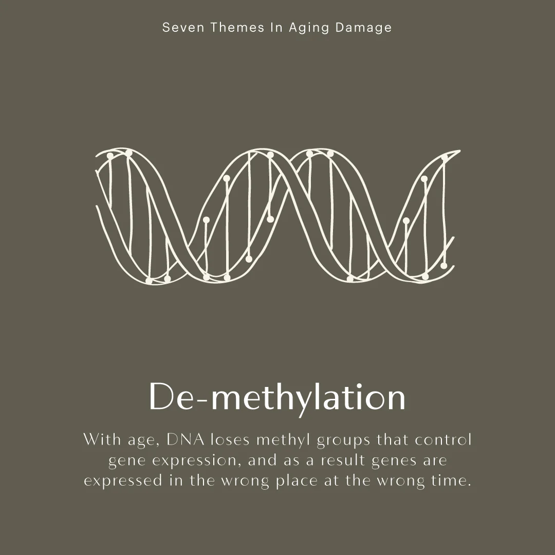 394143_IGStories_Set2_DeMethylation_032019.jpg