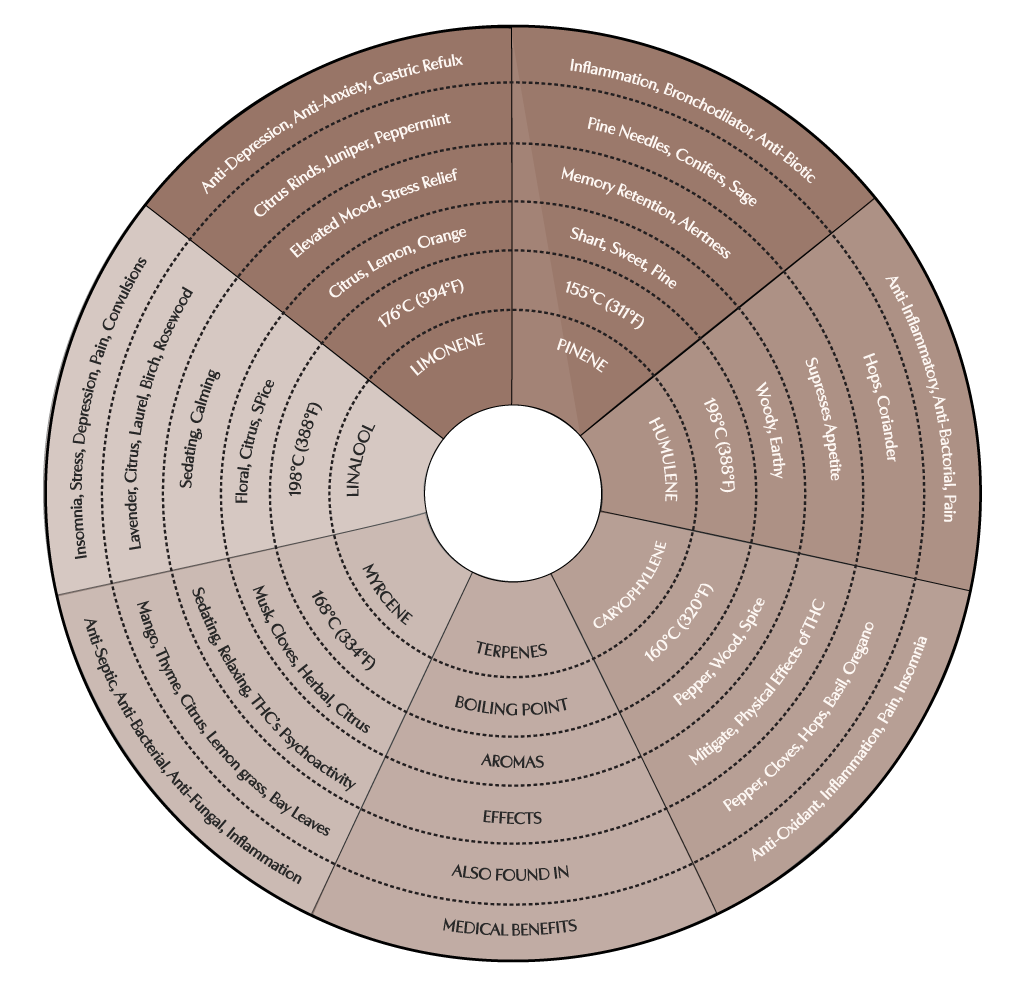 413955_TerpeneandCBDSymptomList_2_043019 (1).png