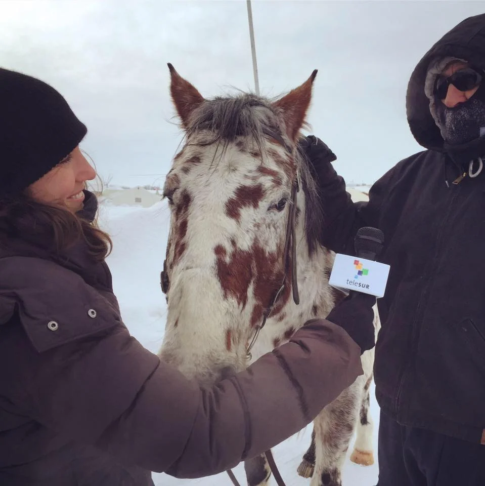 me interviewing horse.jpg