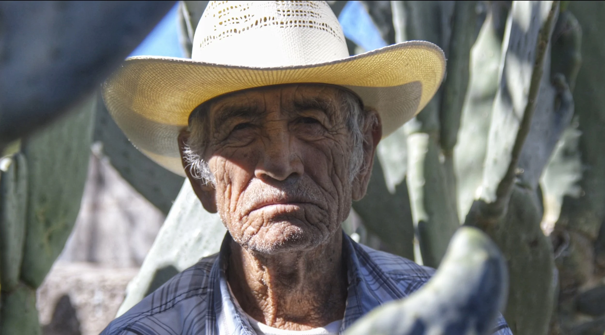 Abuelo Cactus full edited.JPG