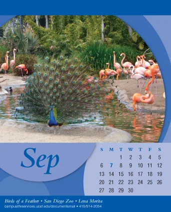 2009_12_2_Calendar3.jpg