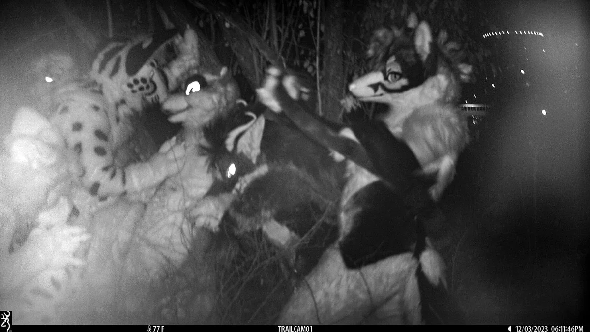 tbruce_wildnight_mff2023-35.JPG