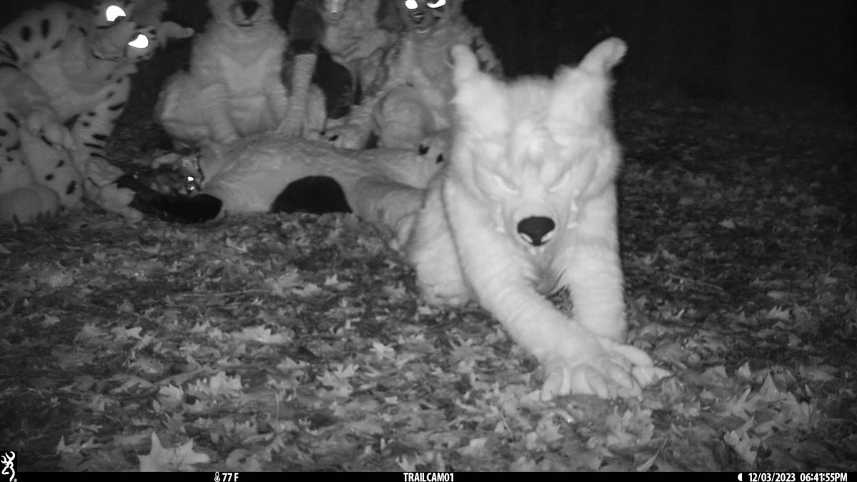 tbruce_wildnight_mff2023-80.JPG