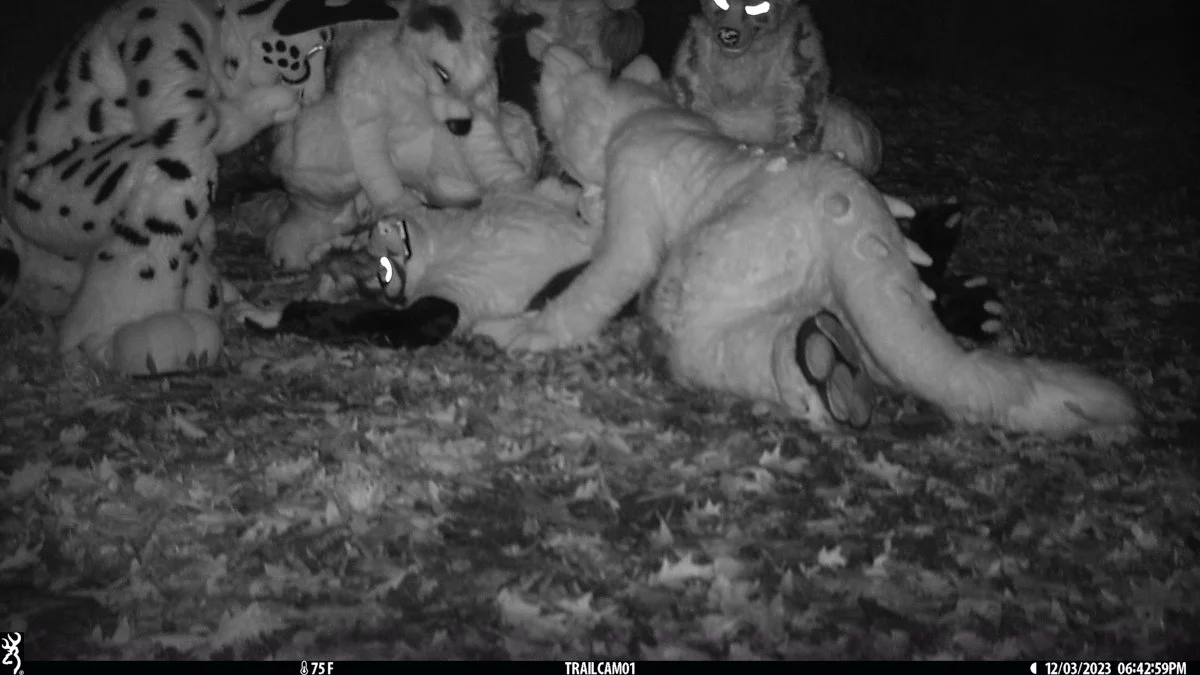 tbruce_wildnight_mff2023-83.JPG