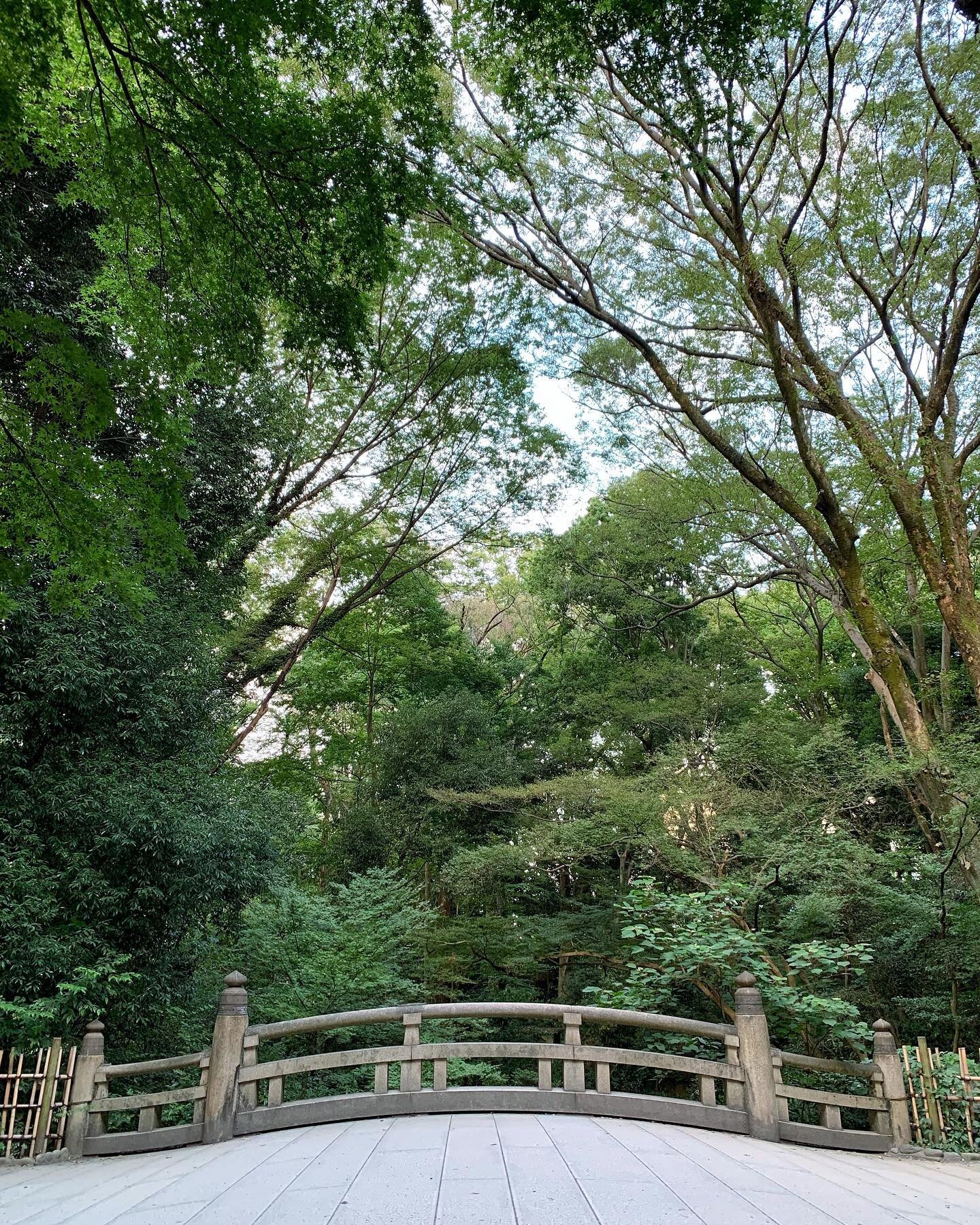 We&rsquo;ll cross that bridge when we get there. #japan #tokyo #shibuya #harajuku #meijijingu #yoyogipark #bridge #nature #green #🇯🇵