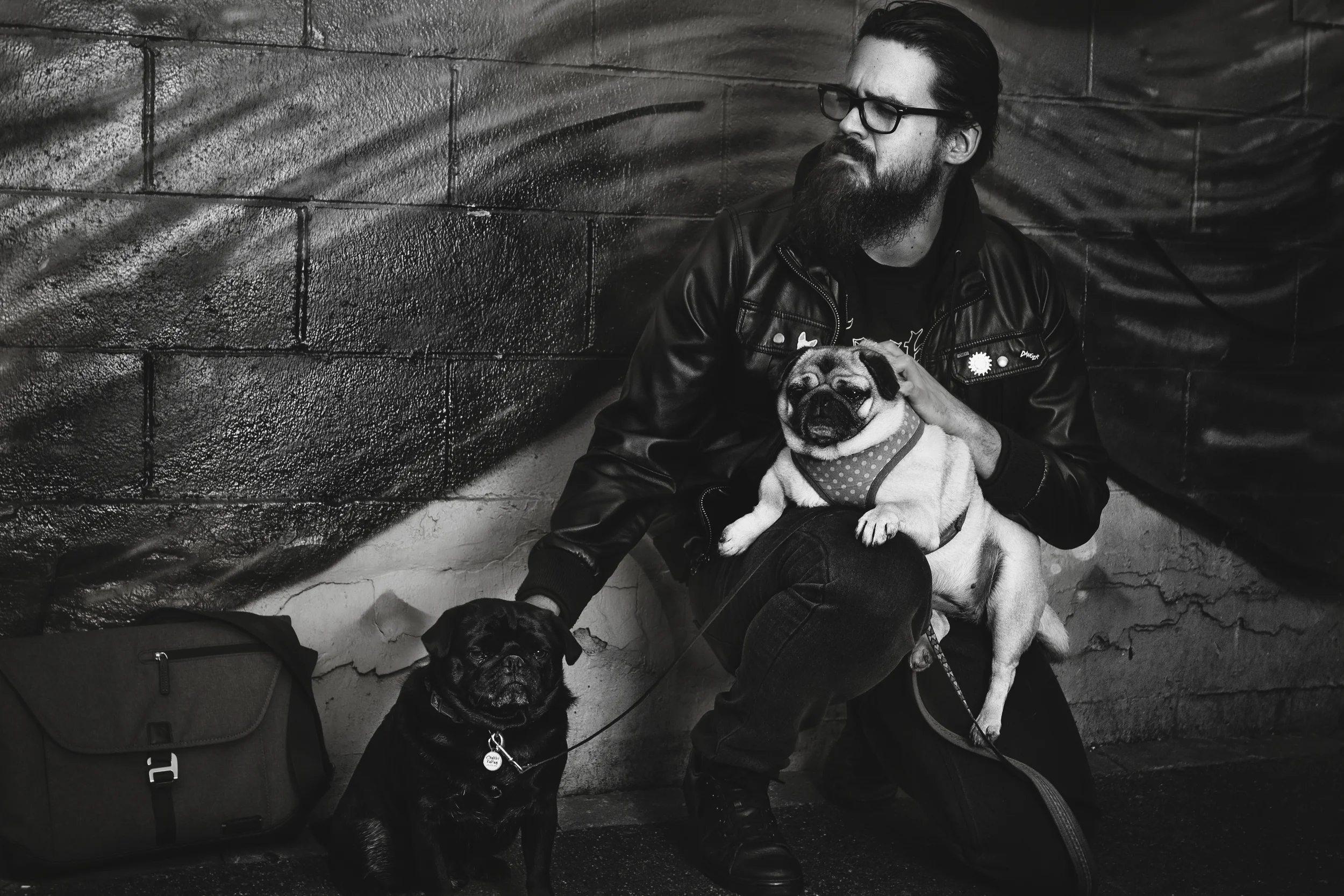 pug-lord.jpg