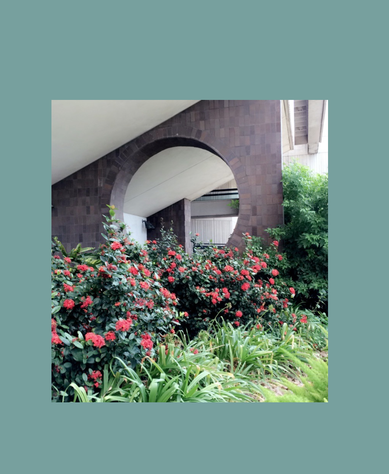 Screen Shot 2017-06-19 at 9.46.19 PM.png