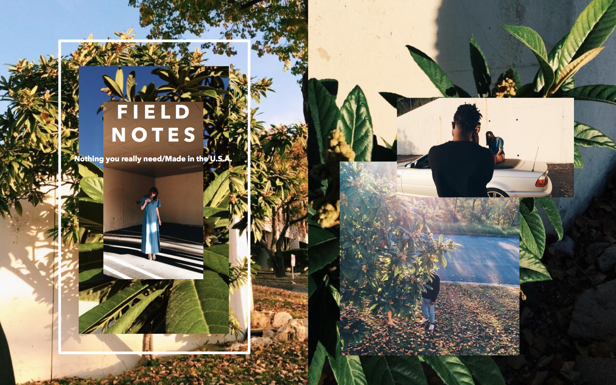 Screen Shot 2017-06-19 at 10.03.54 PM.png