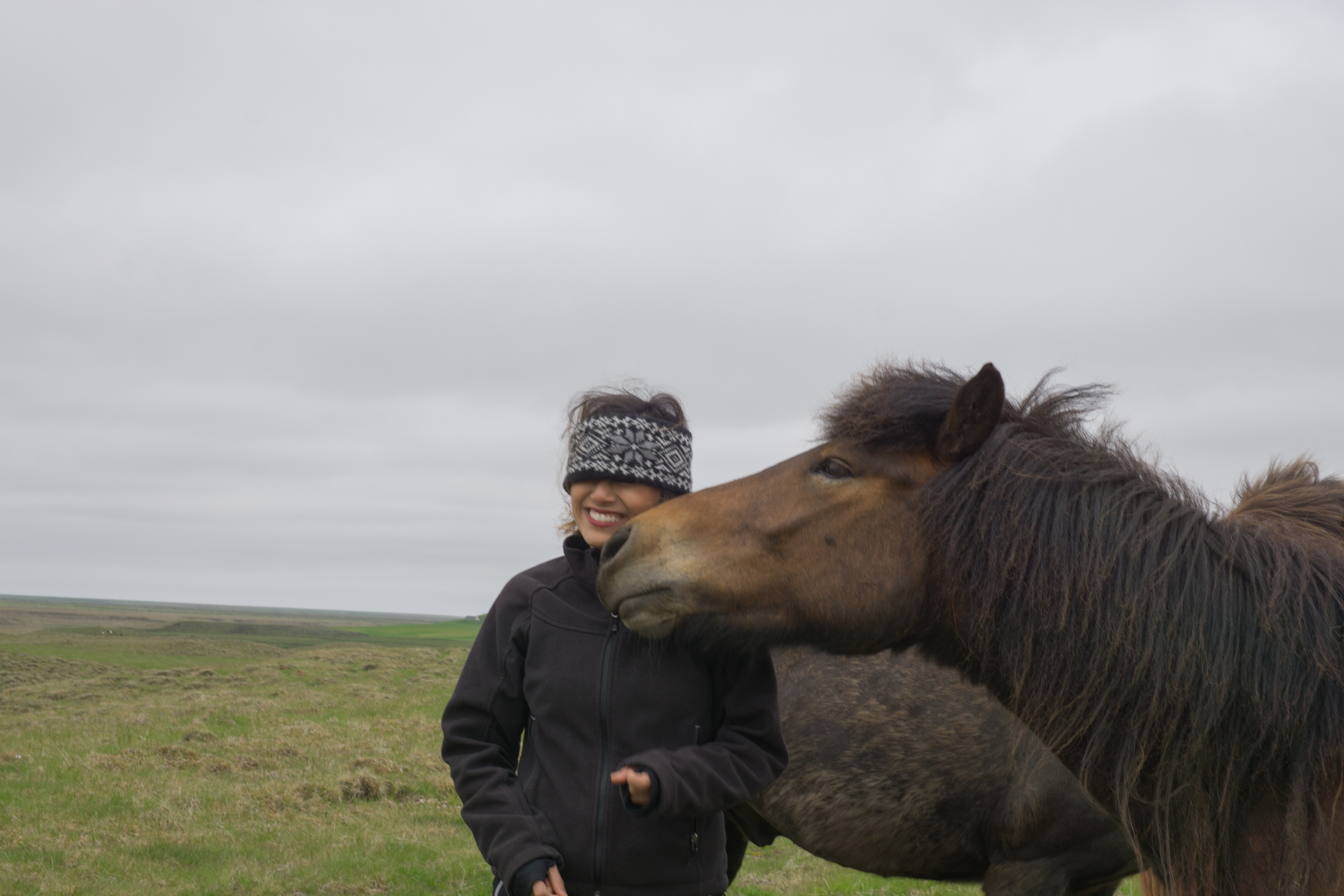 This horse is trying to eat me!