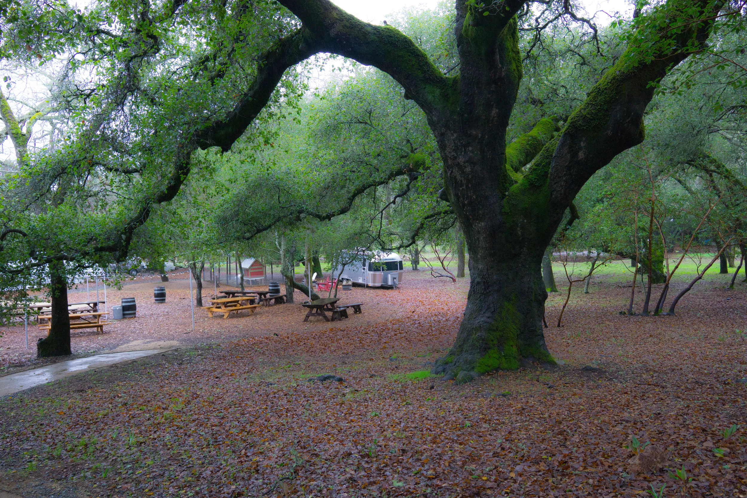 You can have a picnic on a nice day.
