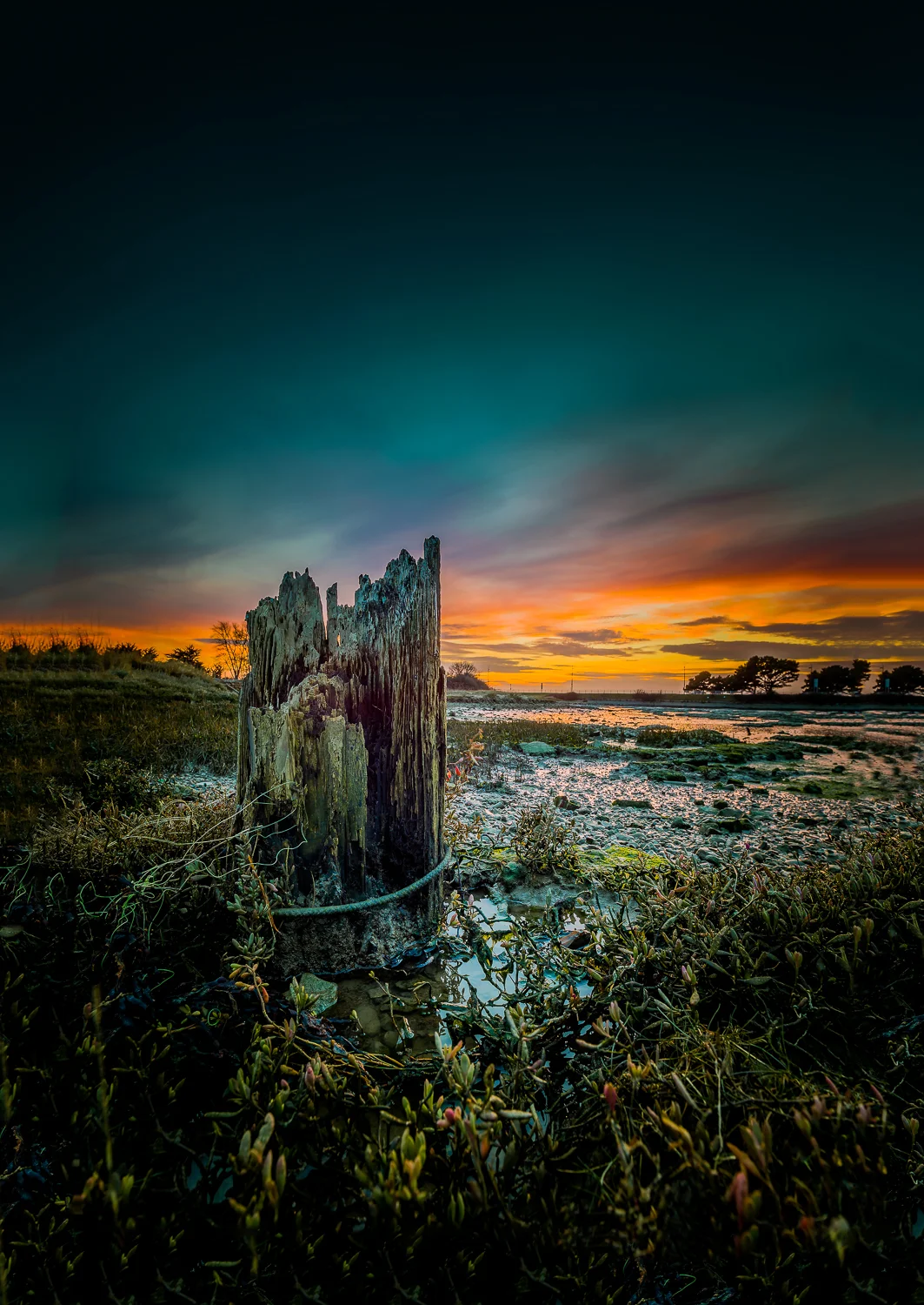 The Last Post