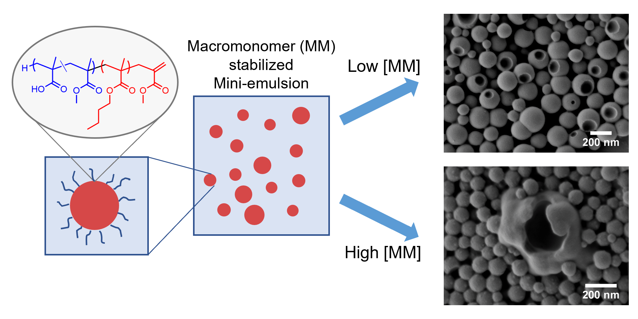 Use of macromonomers as reactive stabilizers in mini-emulsion ...