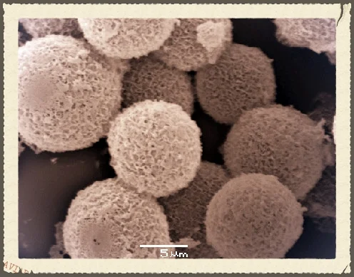 Fabrication of calcium phosphate microcapsules using emulsion droplets stabilized with branched copolymers as templates