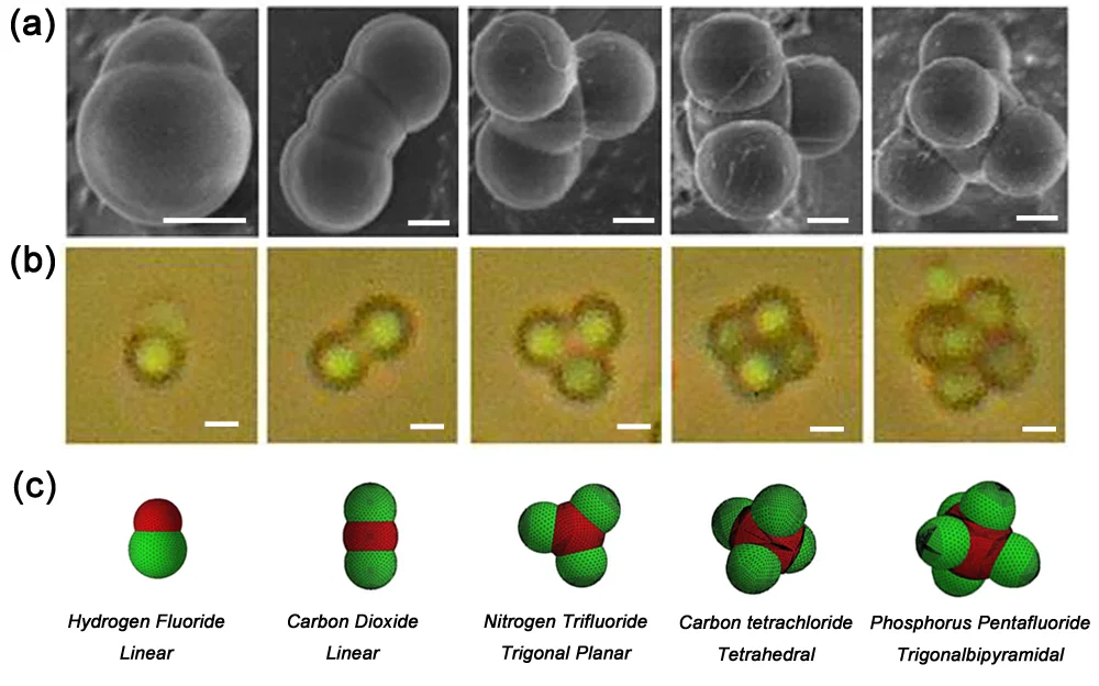 The vast majority of reports on Janus particles deal with the fabrication and behavior of anisotropic particles that have both lyophilic and lyophobic features. Opposing characteristics on a single particle, however, can span a wide variety of physical properties. We have fabricated dumbbell or peanut-shaped microparticles that have one hard polystyrene lobe, and one soft lobe made from poly( n -butyl acrylate). A mechanistic study on their synthesis we have reported in the ACS Journal Langmuir in 2014 entitled Synthesis of "hard-soft" Janus particles by seeded dispersion polymerization (you can read the paper here: http://dx.doi.org/ 10.1021/la503366h ). We found in a study reported in 2014 in Soft Matter that these "hard-soft" Janus particles upon collision under sheared and dilute condition, whereby physisorbed poly(vinyl pyrrolidone) which served as steric stabilizer desorbed from the particles rendering them colloidally unstable, these could assemble into distinct microscopic supracolloidal analogues of simple molecular valance shell electron pair repulsion (VSEPR) space-fill structures. Simulations of expected cluster morphology, compared with those from cryo-SEM analysis support the mechanism of assembly driven by surface area minimization in the case of soft–soft interactions. Altering the soft lobe size with respect to the hard lobe indicates a moderate effect on number of primary particles per cluster. Additionally, higher order structures of clusters containing a number of primary particles exceeding what is possible for a ‘solid’ core cluster are observed. As such, we also investigated the formation of suprastructures using a high number of ‘hard–soft’ Janus particles and verified their effective Pickering stabilization of air bubbles. You can read the paper here: http://dx.doi.org/ 10.1039/C4SM01708K . 