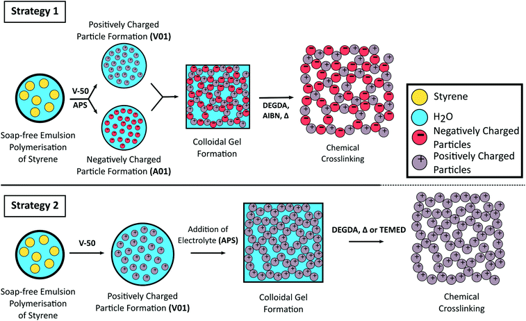 Assembly of colloidal latex particles leads to innovation in ...