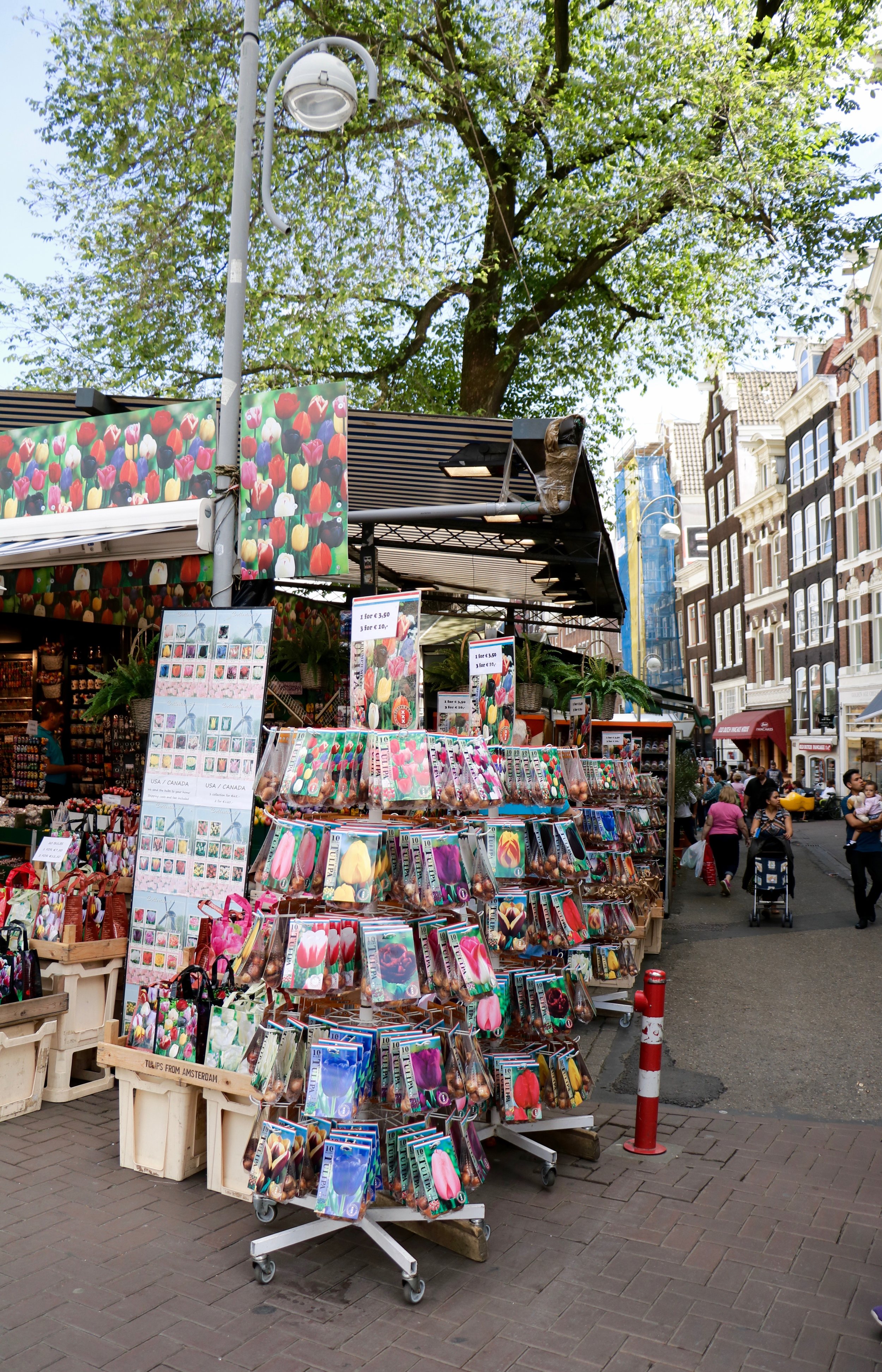 Amsterdam-tulip-flowermarket-stand