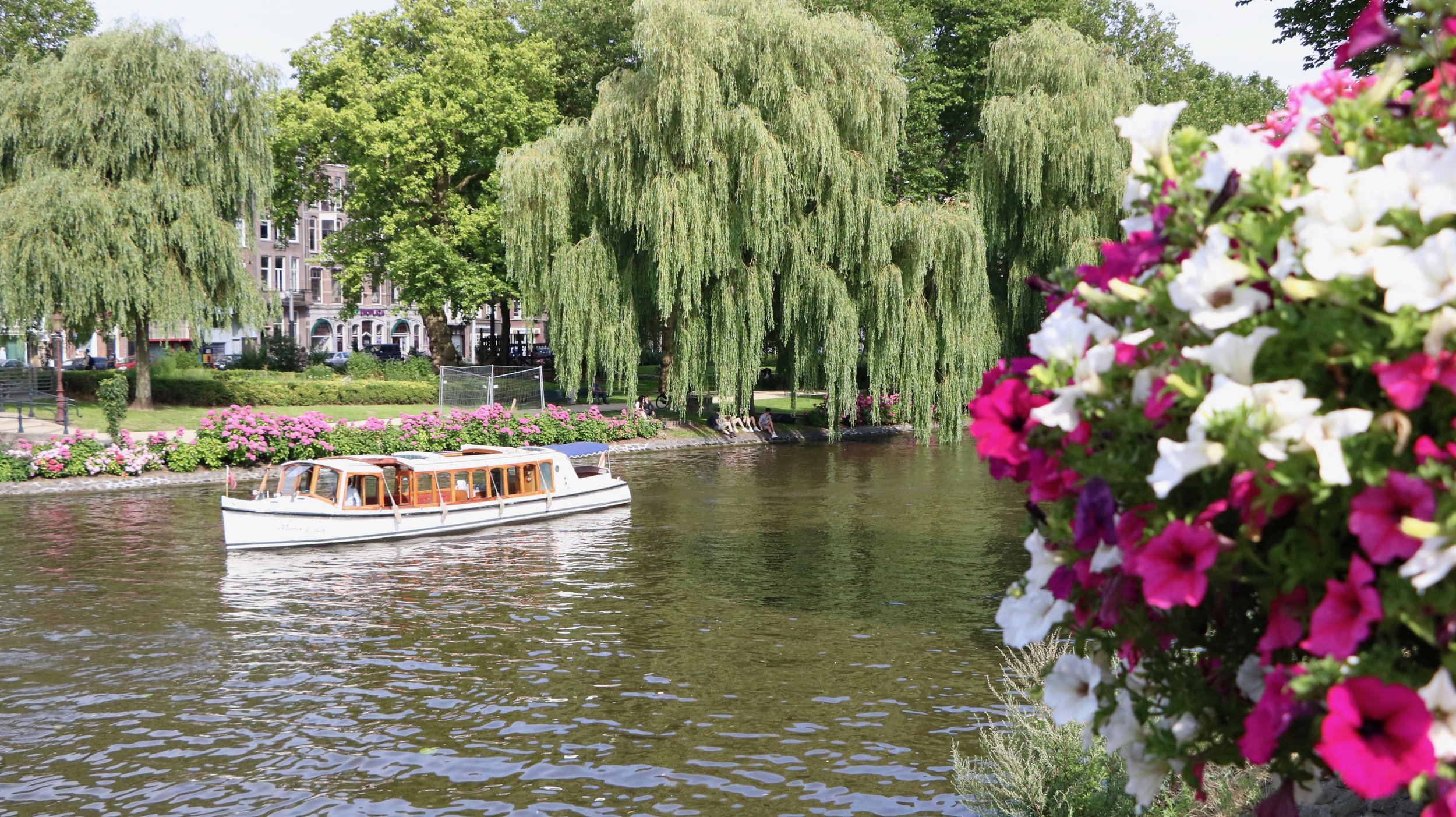 Boat-tour-amsterdam