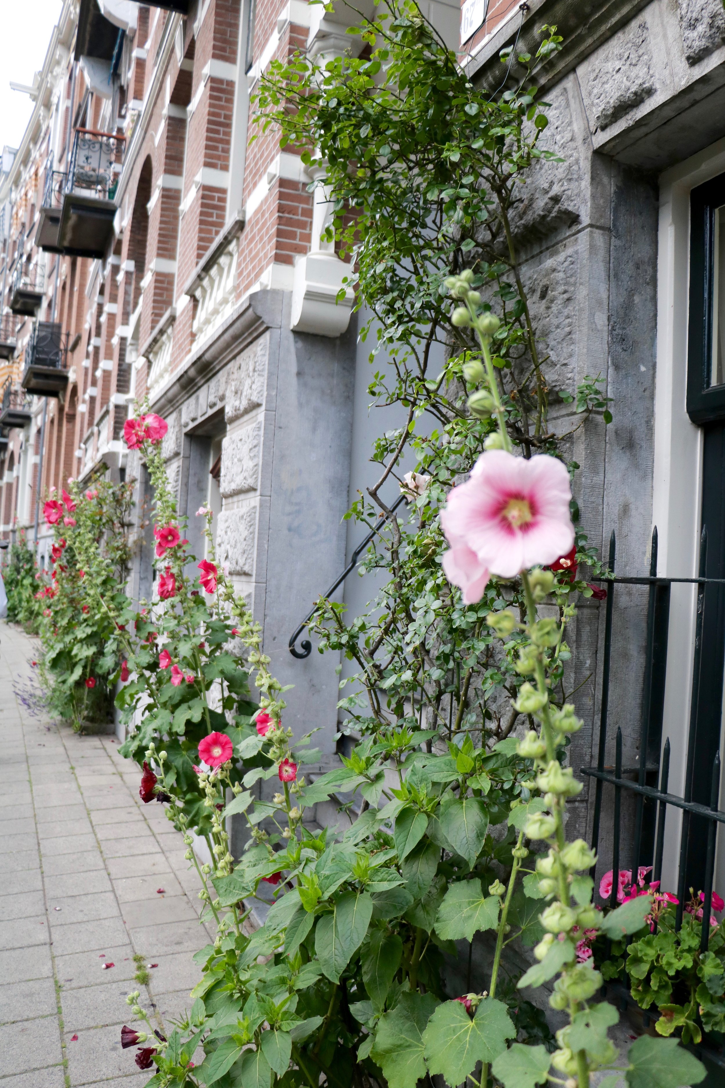 Amsterdam-street-scene