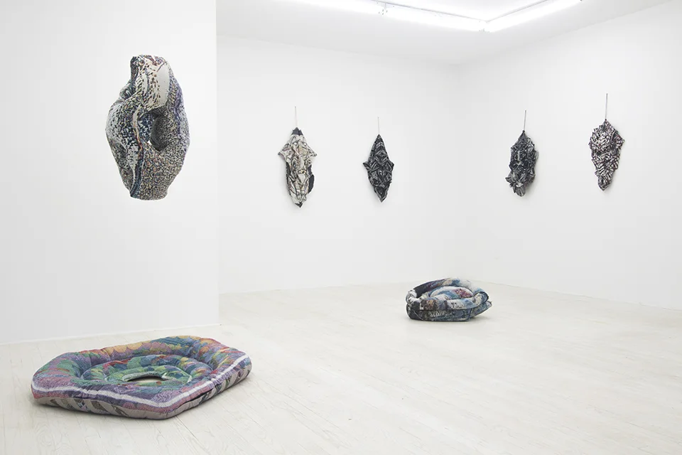 The Seer, Halsey McKay Gallery, East Hampton, NY, January 2016
