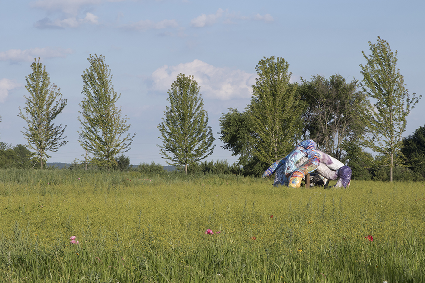 Intimate Strangers, Franconia Sculpture Park, Shafer, MN, 2016-17