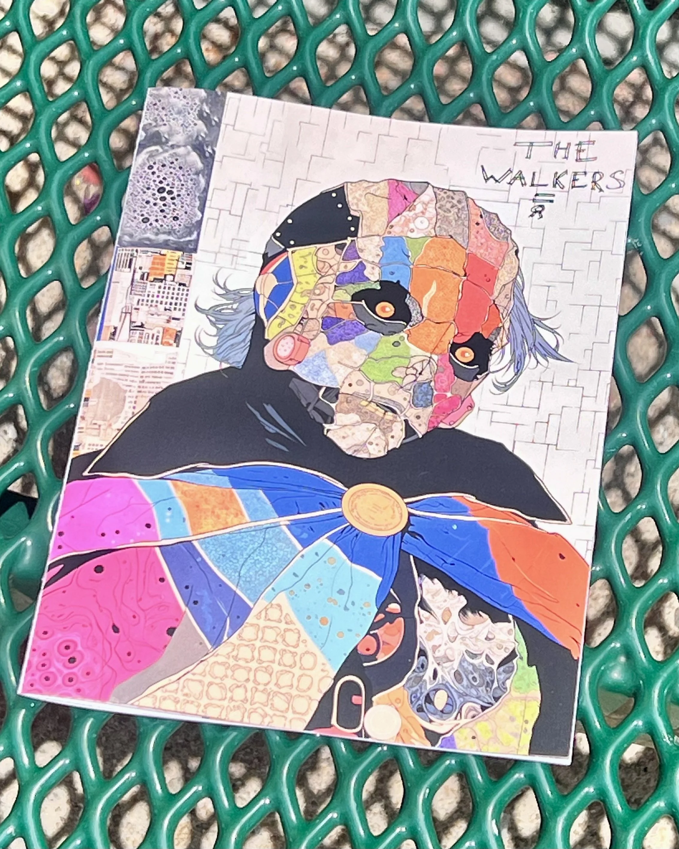 The Walkers Book.jpg