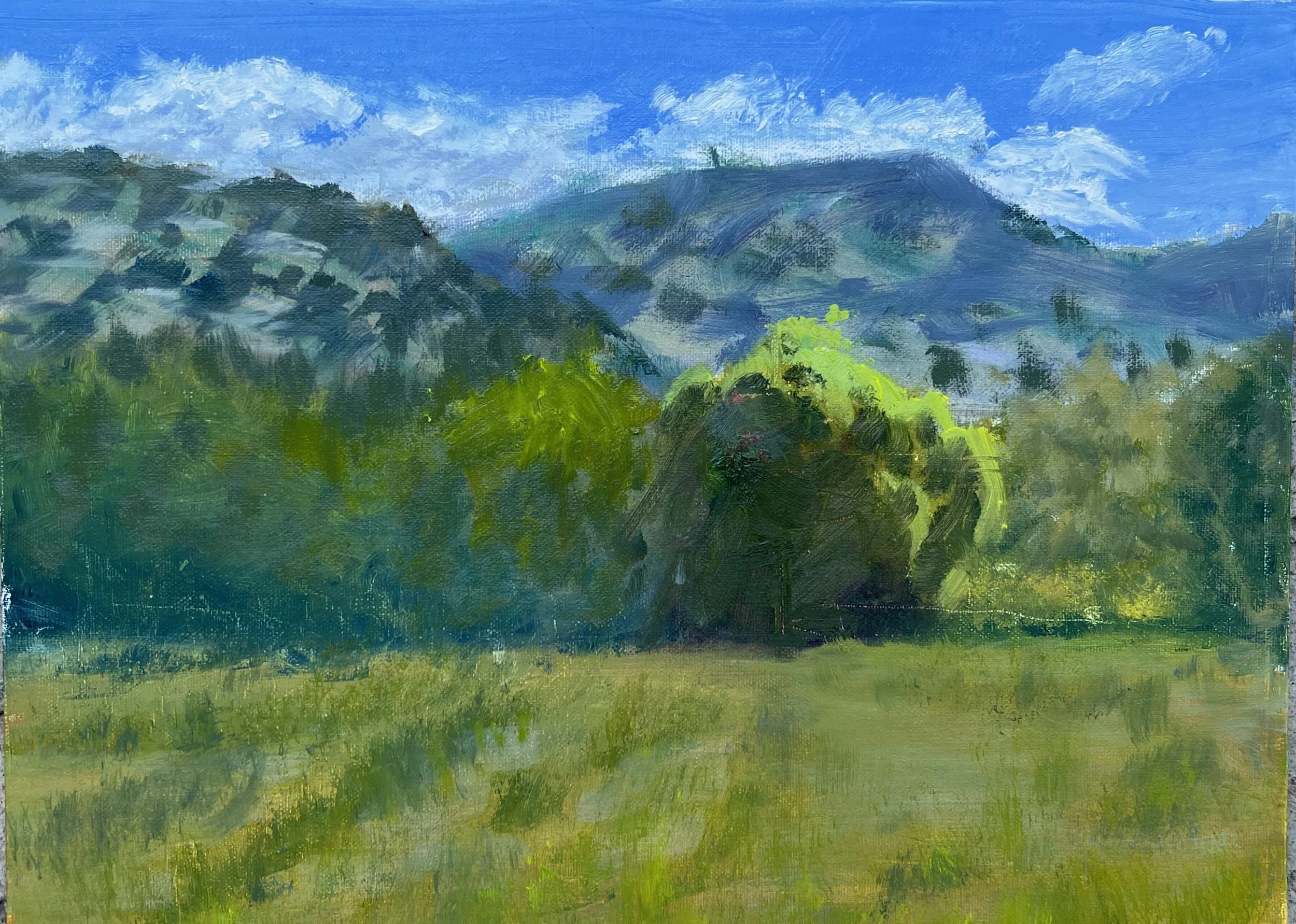 Hall Fraser_Kathy_Rim Light in the Pasture 12x9, Oil,$$250.jpeg (Copy) (Copy) (Copy) (Copy) (Copy) (Copy) (Copy) (Copy)