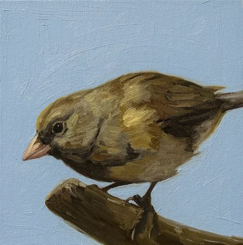 Kasser-Lucinda_Dark-Eyed Junco, 8 x 8, Oil on Canvas,, $275.jpeg (Copy) (Copy) (Copy) (Copy) (Copy)