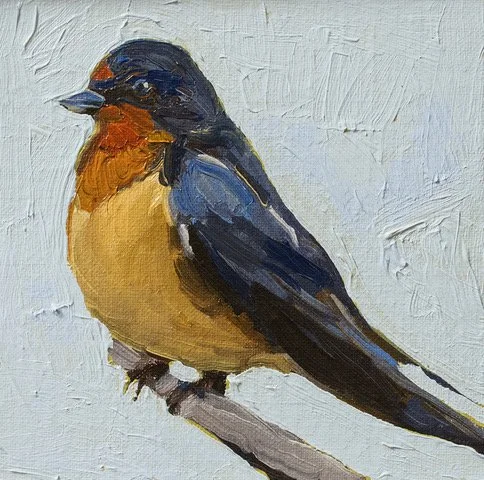 Kasser-Lucinda_Barn Swallow, 6 x 6, Oil on Canvas, $200.jpeg (Copy) (Copy) (Copy)