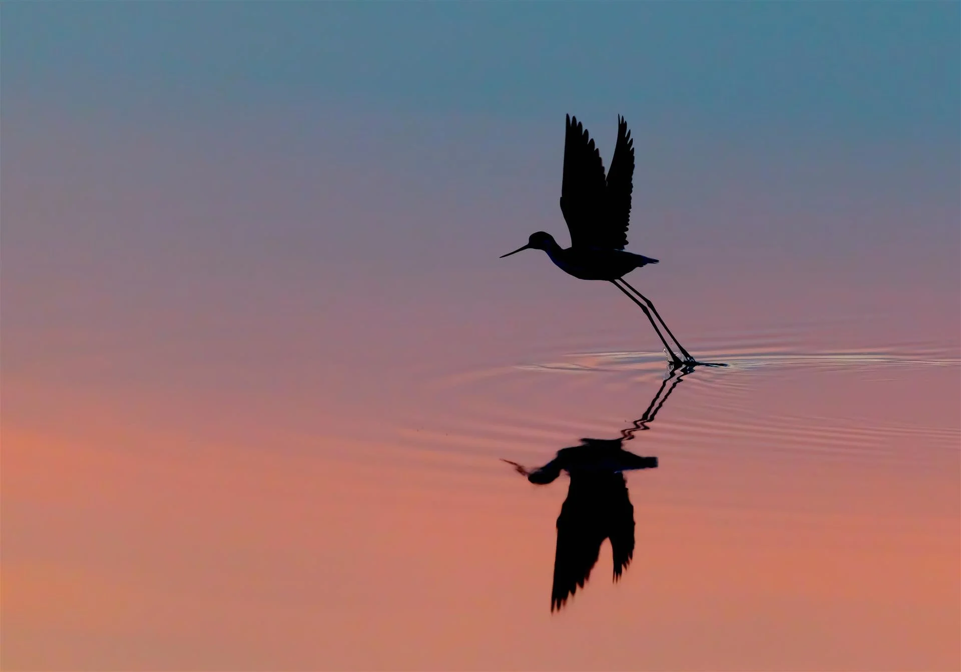 Off Into the Sunset  |  Christine Blue  |  Photography  |  $135 value								