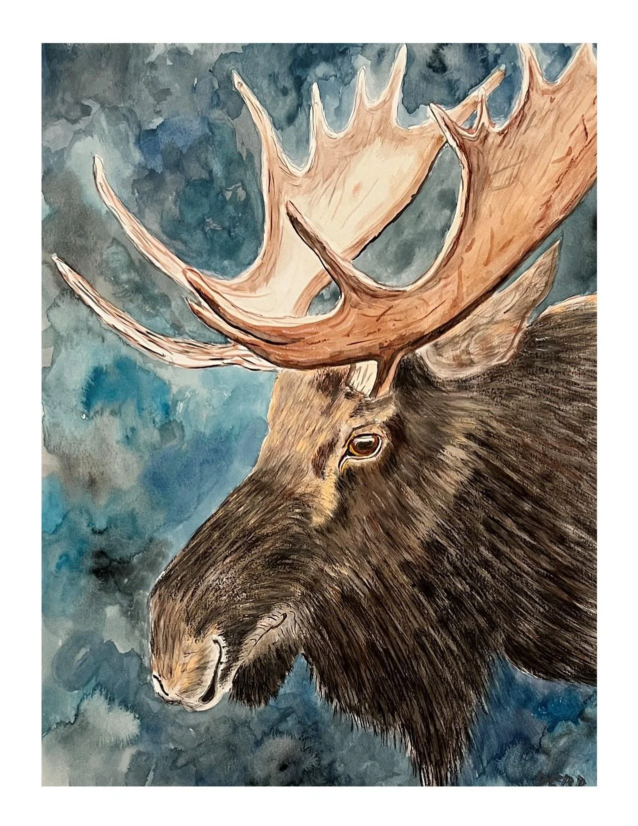 Bull Moose  |  Wynn Derr  |  Water Media  |  $200 value