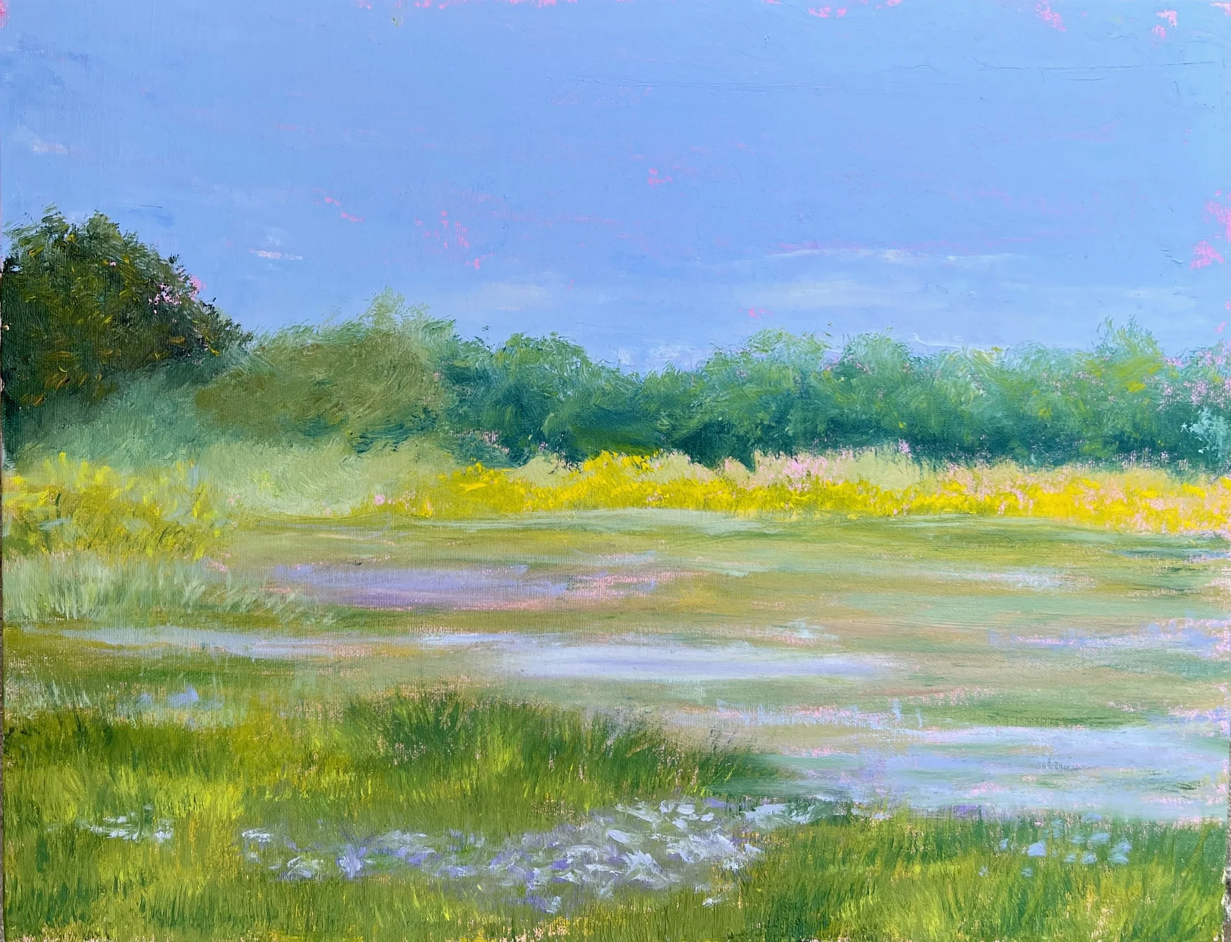 Hall Fraser_Kathy_Spring Palette , 11x14, Oil, #350.jpeg (Copy) (Copy) (Copy) (Copy) (Copy) (Copy)