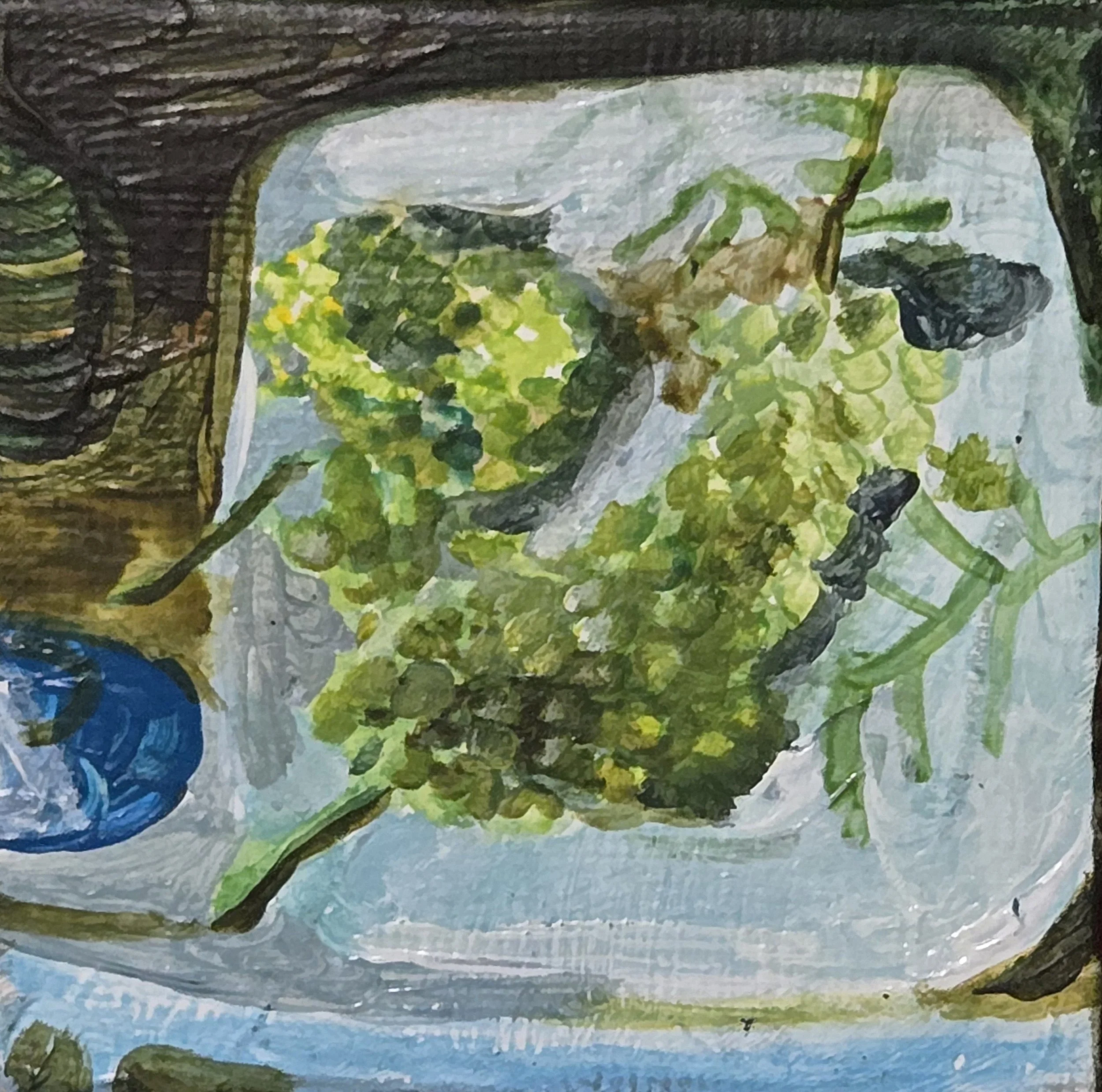 Grapes_2.5x2.5_$35.jpg