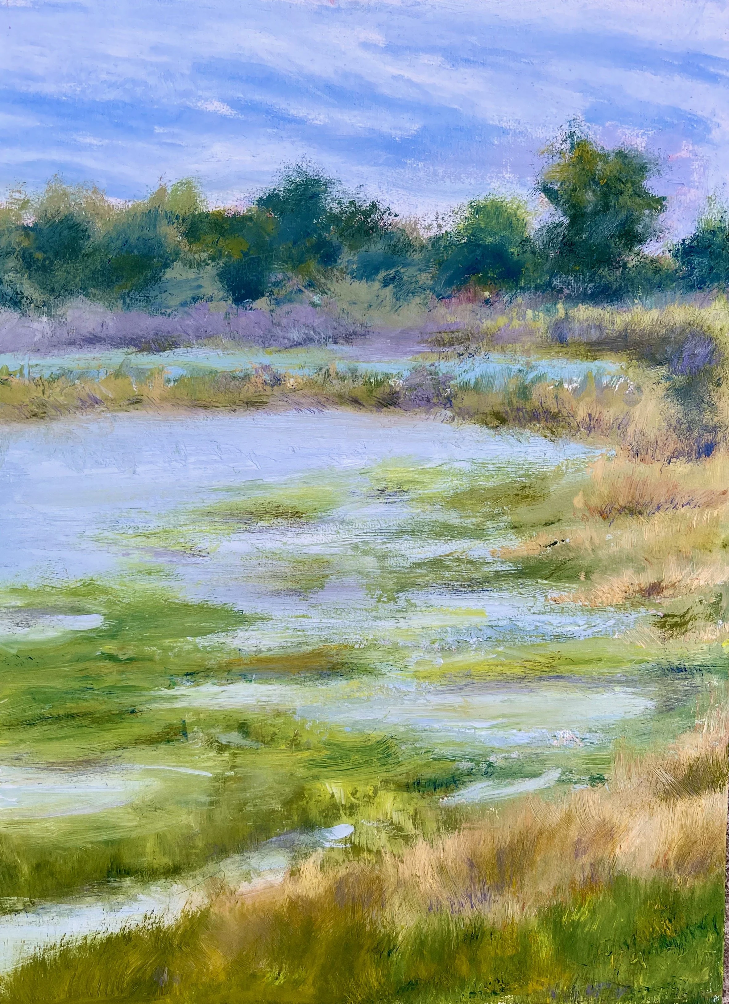 Hall Fraser_Kathy_Wonderful World_12 x9 , Oil,$250.jpeg (Copy) (Copy) (Copy) (Copy)